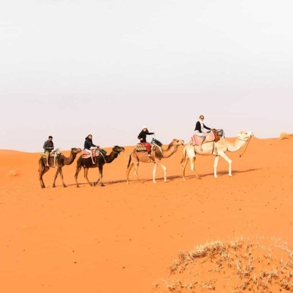 4 Days Tour From Marrakech To Morocco Desert Nomads