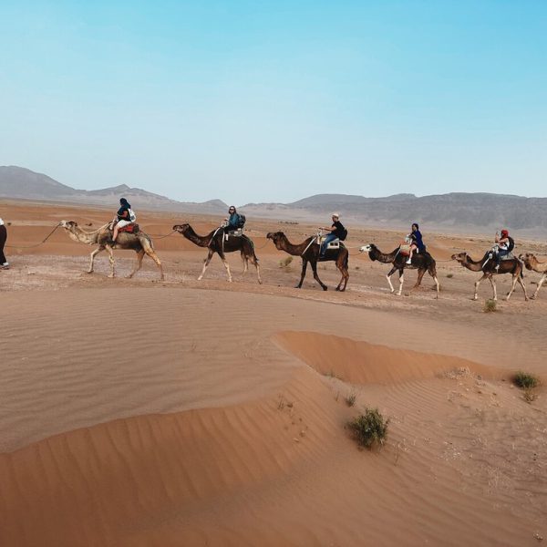 4 Days Tour From Marrakech To Zagora And Erg Chegaga Desert